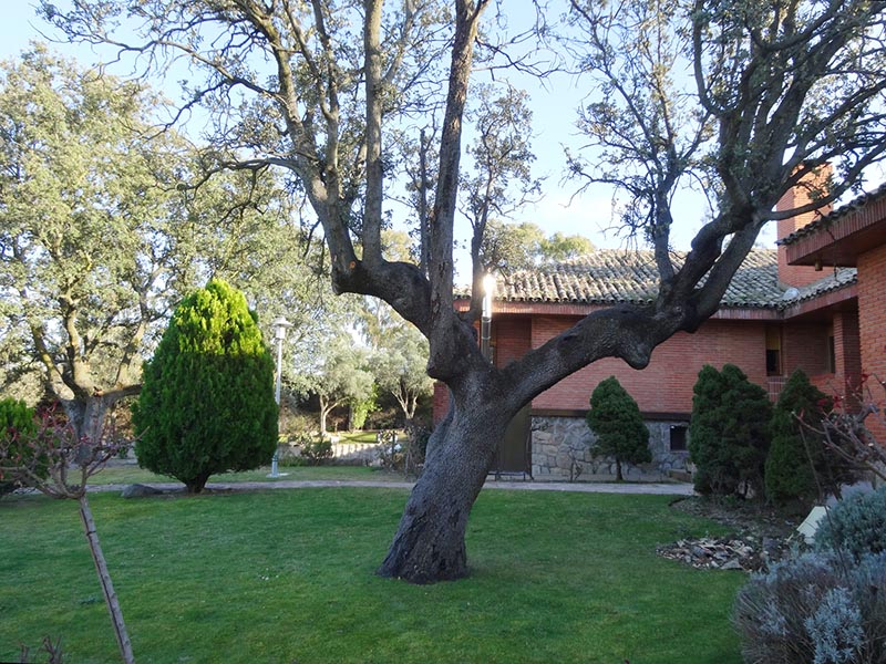 Vivir en una Residencia de Estudiantes Madrid - Blog de la Residencia Montepríncipe