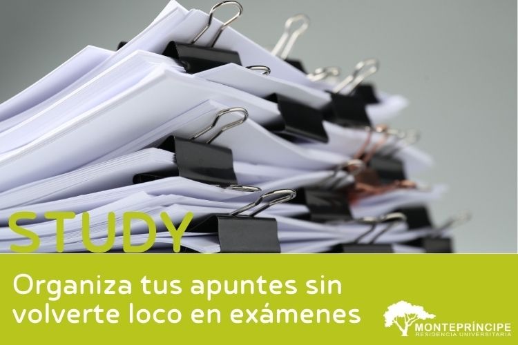 Organiza tus apuntes sin volverte loco en exámenes